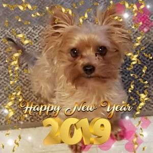 Meet your Posher, Gail